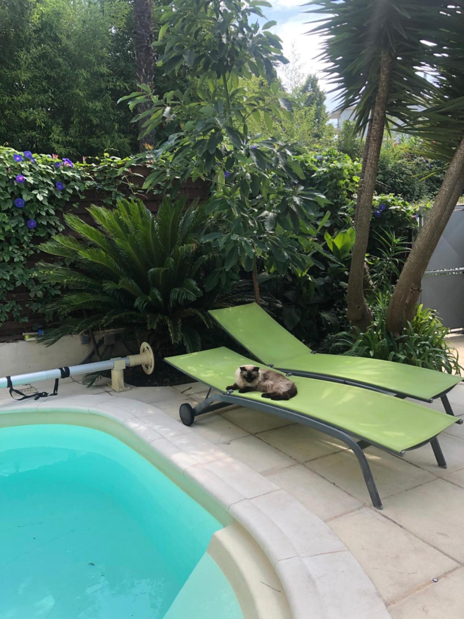 Villa Beausejour Cannes Dış mekan fotoğraf